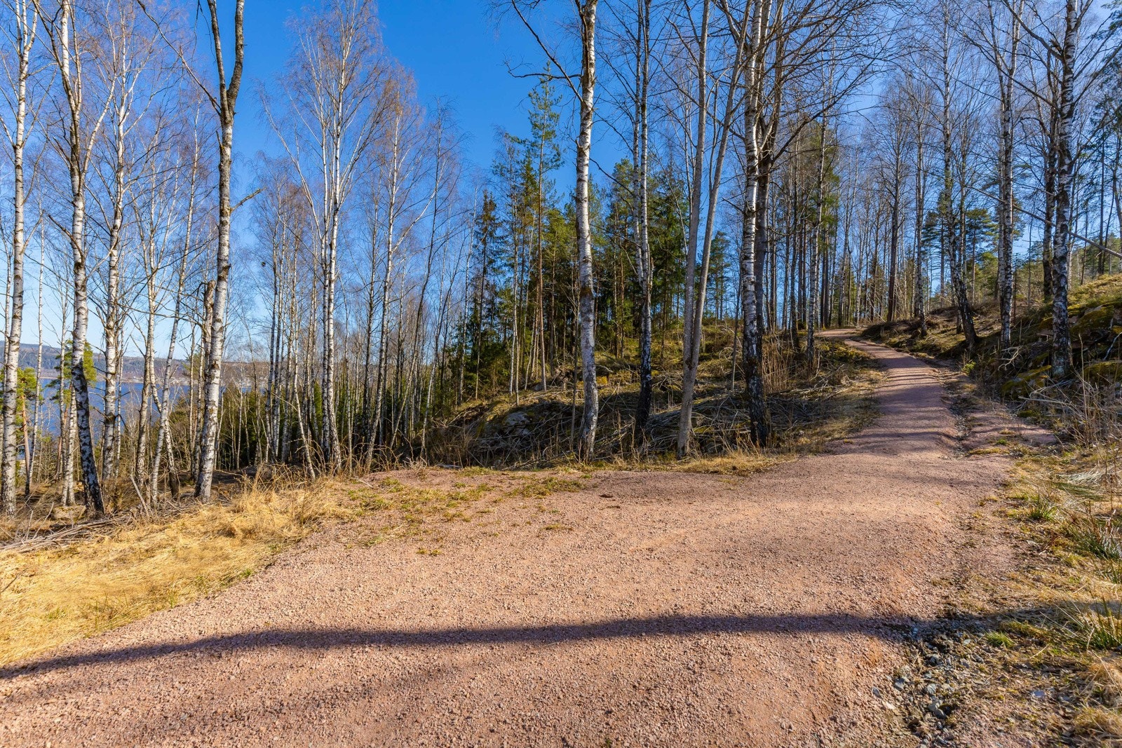 Gode turmuligheter rett på utsiden av leiligheten. Galleribilde