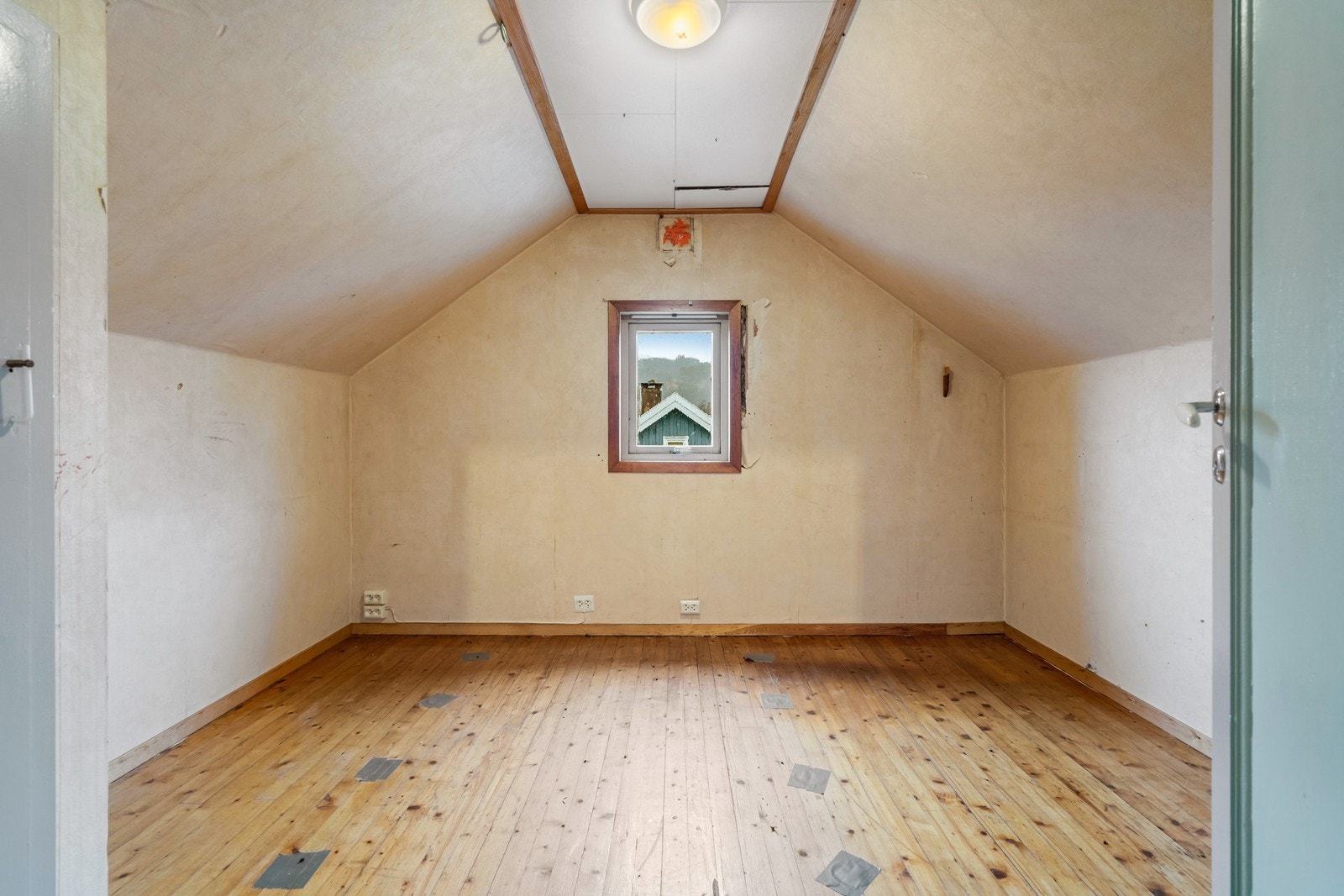 TIM01451 Galleribilde