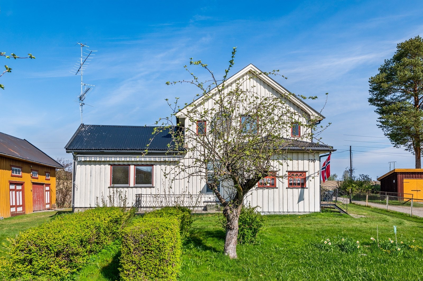 Frodig hage. Galleribilde