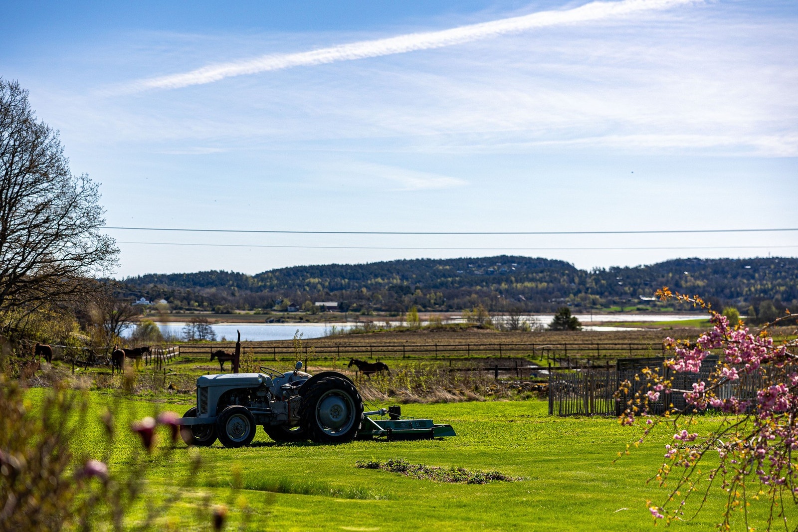 Idylliske omgivelser. Galleribilde