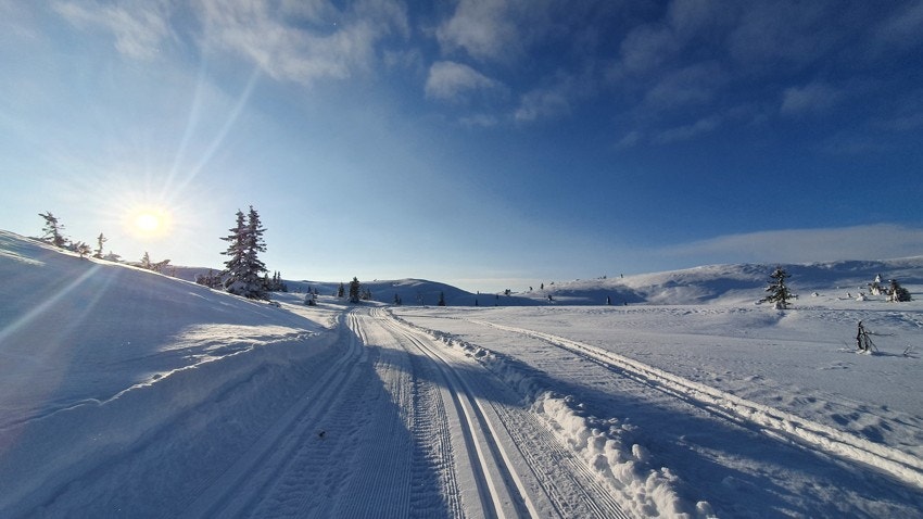 Flotte løyper som tar deg milevis av gårde! Galleribilde