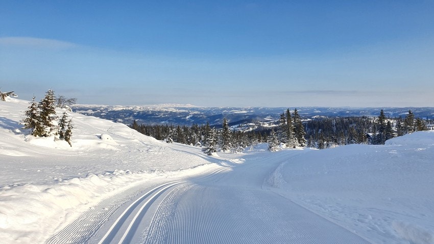 Det finnes flere løypelag i området som alle støter innom hverandre for å dekke hele området Galleribilde