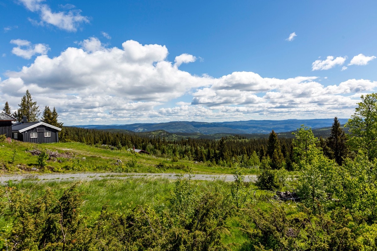 Felesetervegen 40: 1005,20 kvm beliggende på ca. 915 moh. Galleribilde