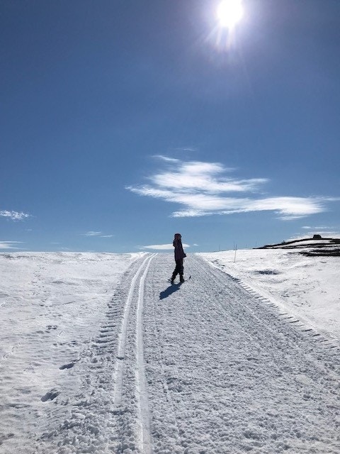 Selgers bilde Galleribilde