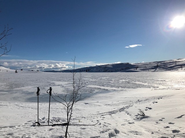 Selgers bilde Galleribilde