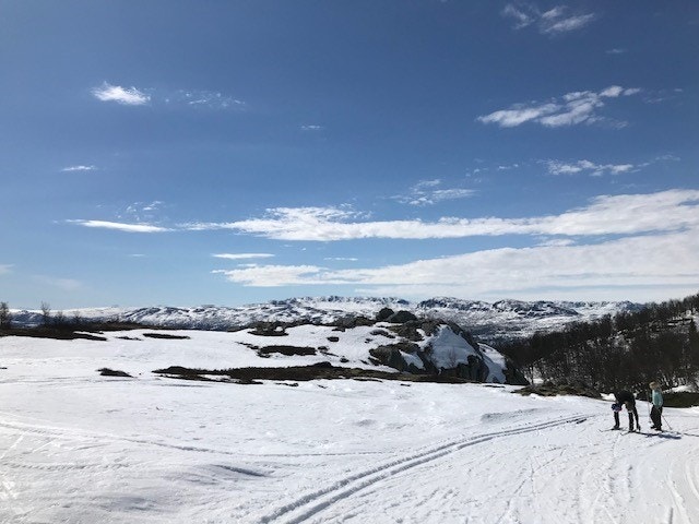 Selgers bilde Galleribilde