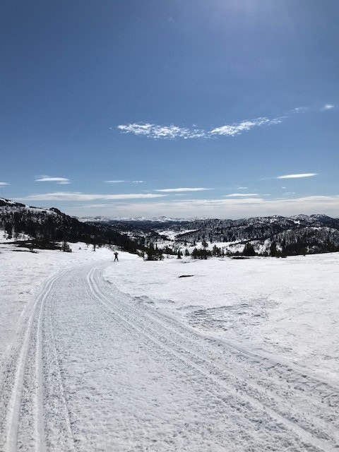 Selgers bilde Galleribilde