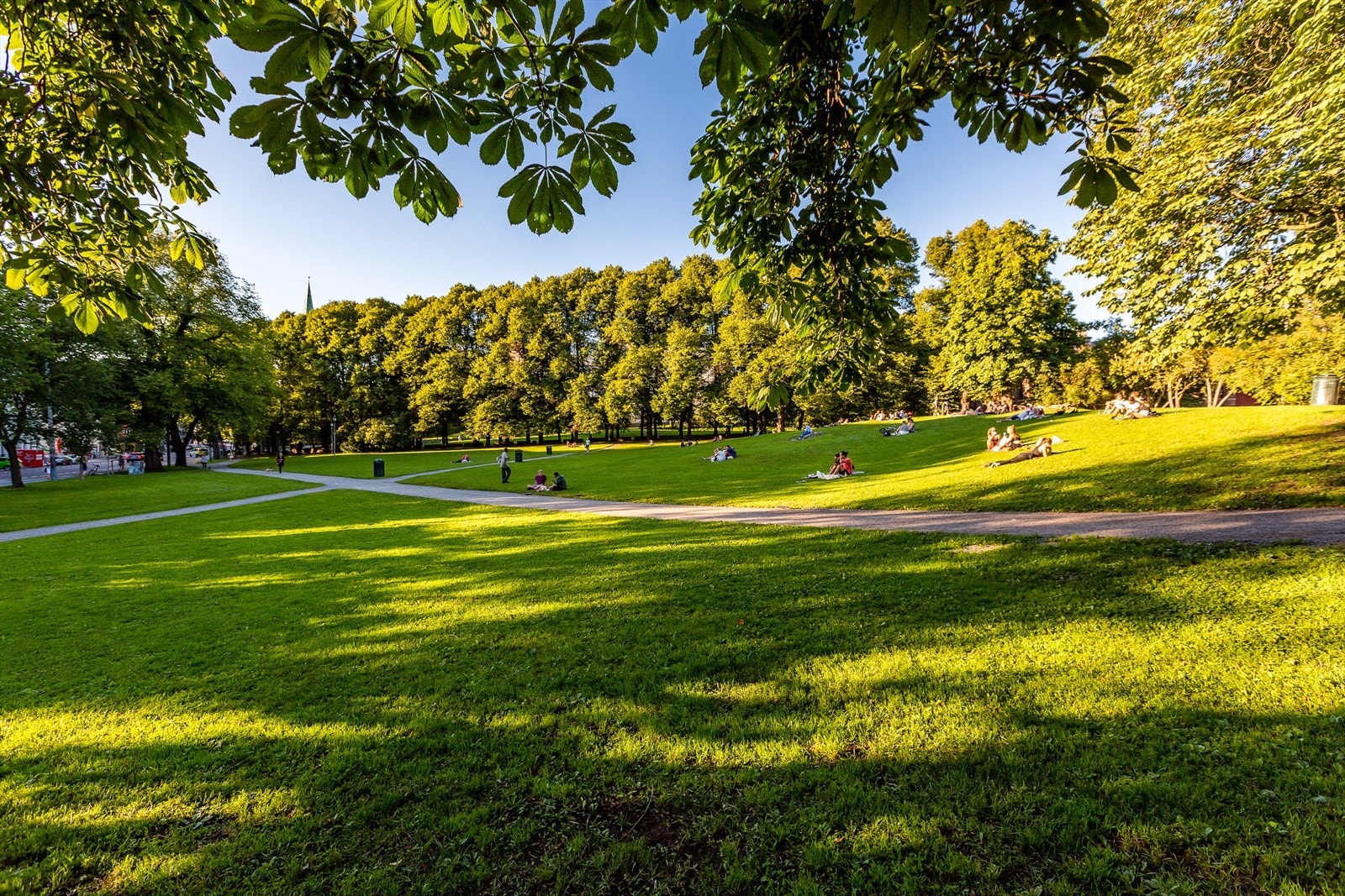 Selv om du bor sentralt er det mange fine grønne lunger i nabolaget Galleribilde