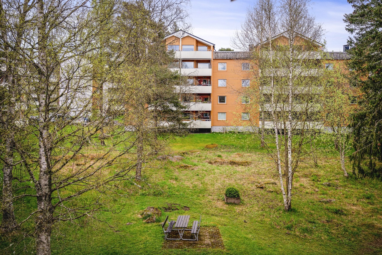 Trivelig utsyn mot grøntområde. Galleribilde