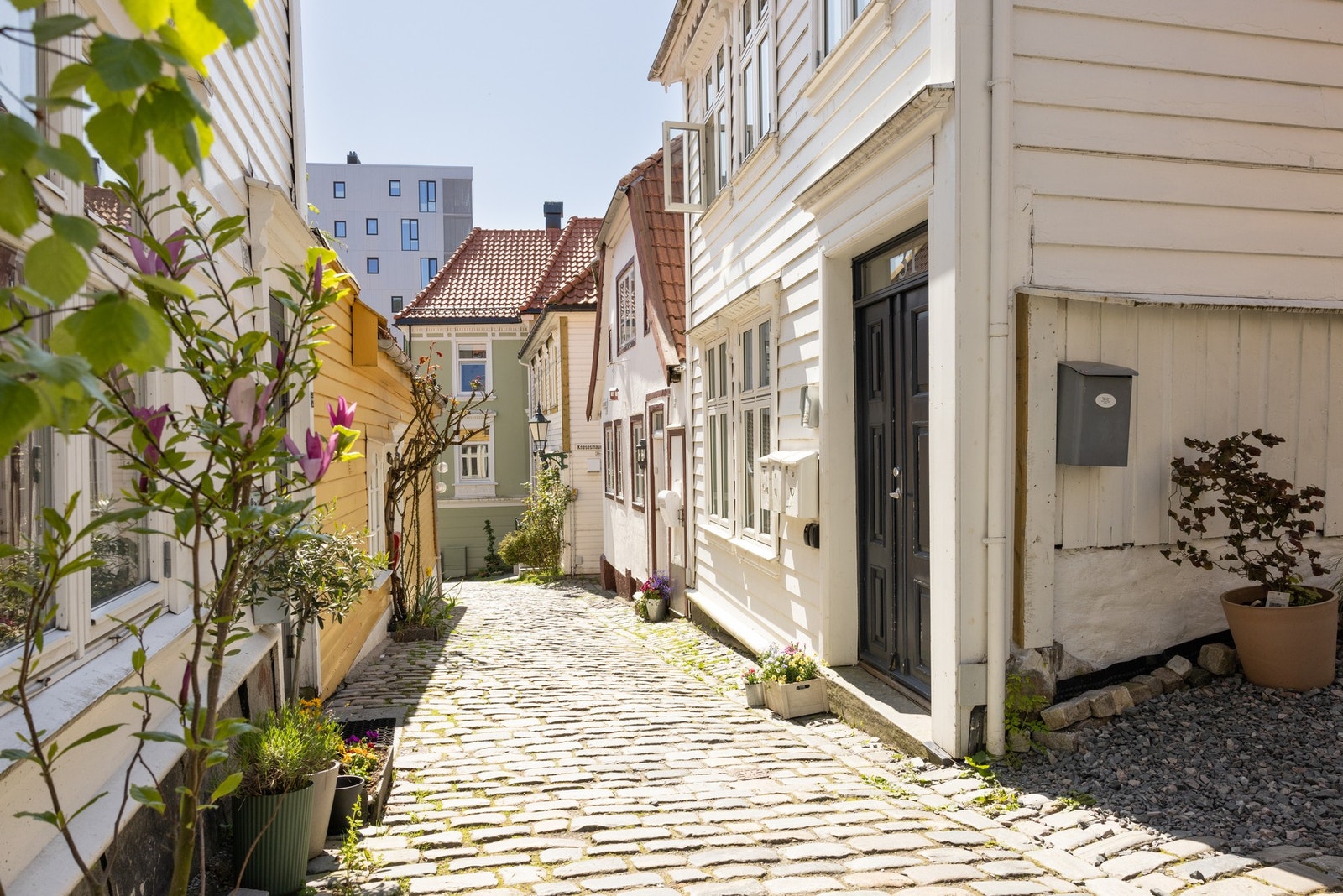 Knøsesmauet er en stille og koselig gate med brostein og klassiske Bergenshus. Galleribilde