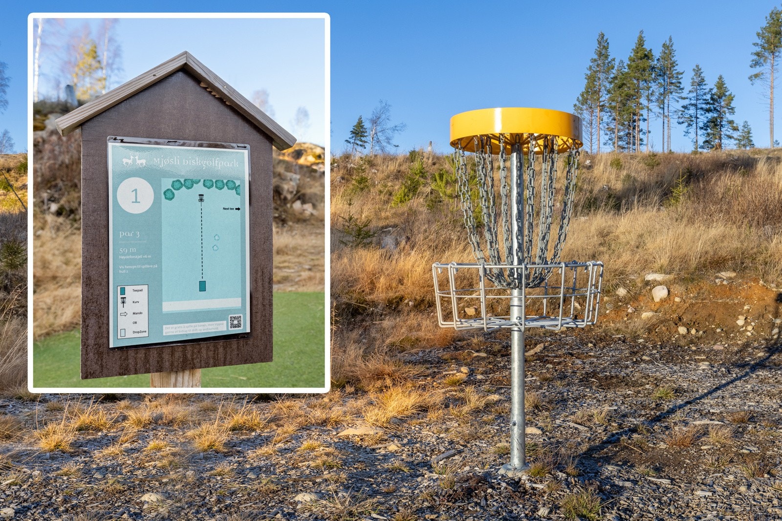 Discgolf-bane v/hyttefelt. Galleribilde