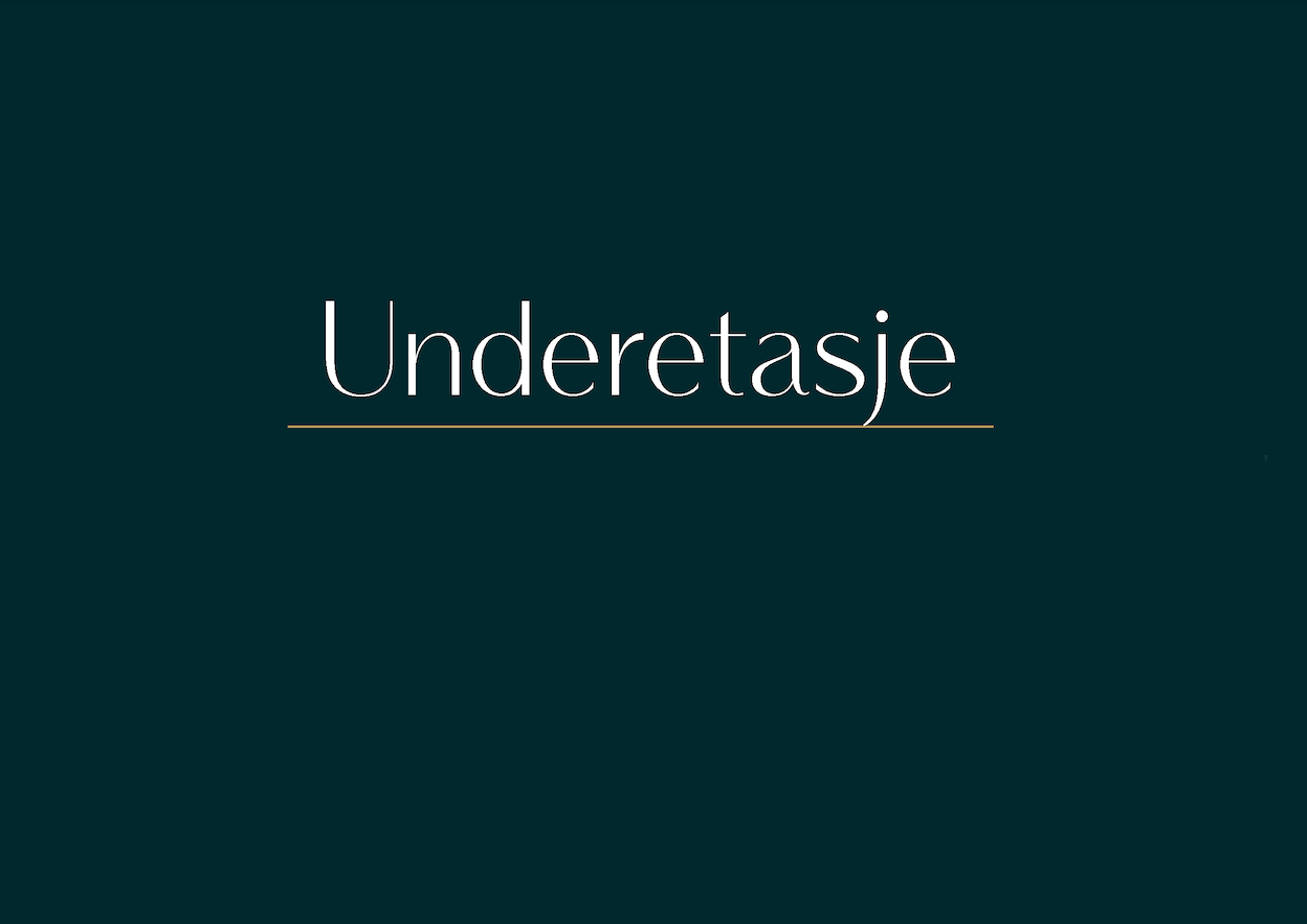 Underetasjen inneholder bad, vaskerom, gang, to boder og en romslig kjellerstue med kjøkkenkrok. Galleribilde