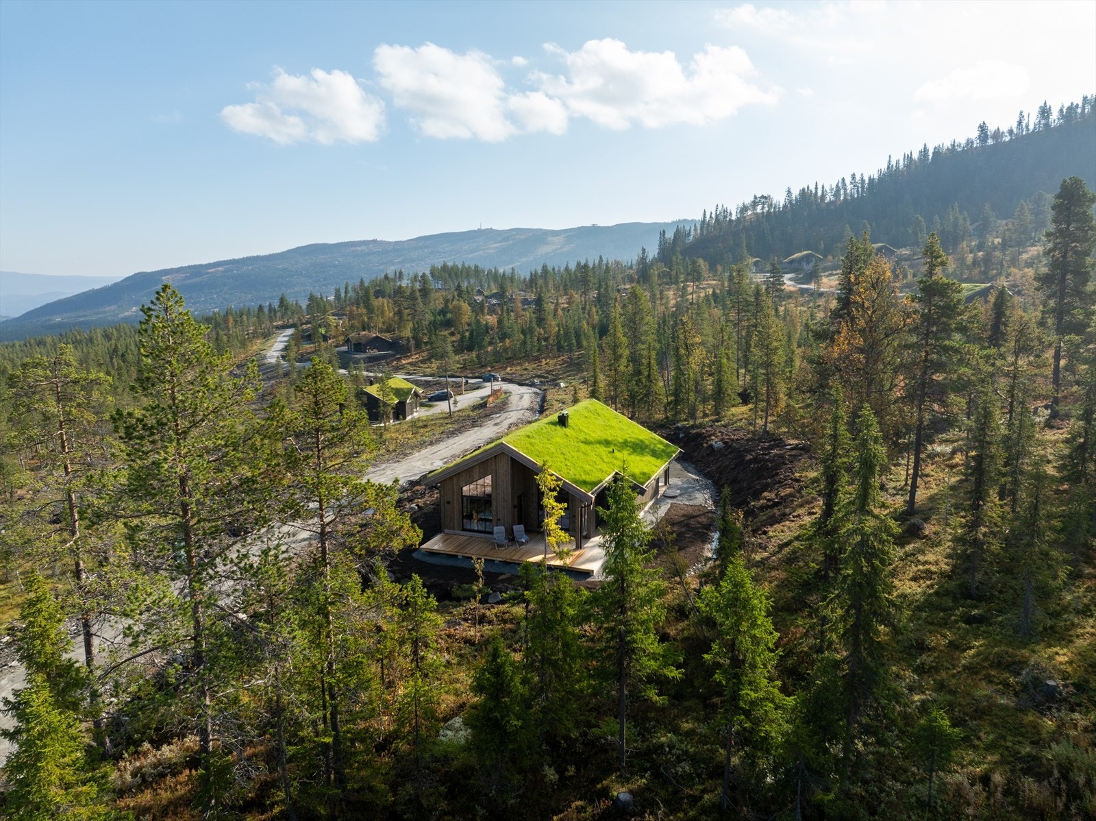 Kort vei til snaufjellet. Galleribilde