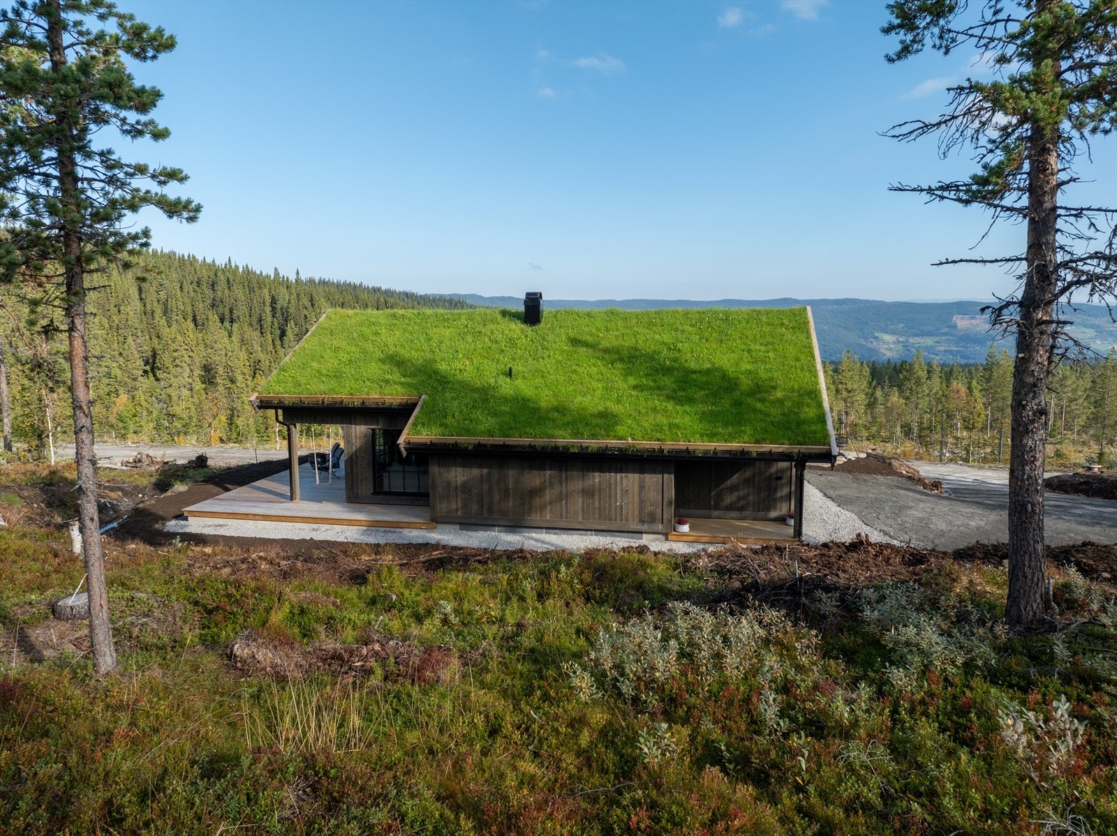 Fine muligheter for bærplukking på høsten, multer, blåbær og tyttebær. Galleribilde