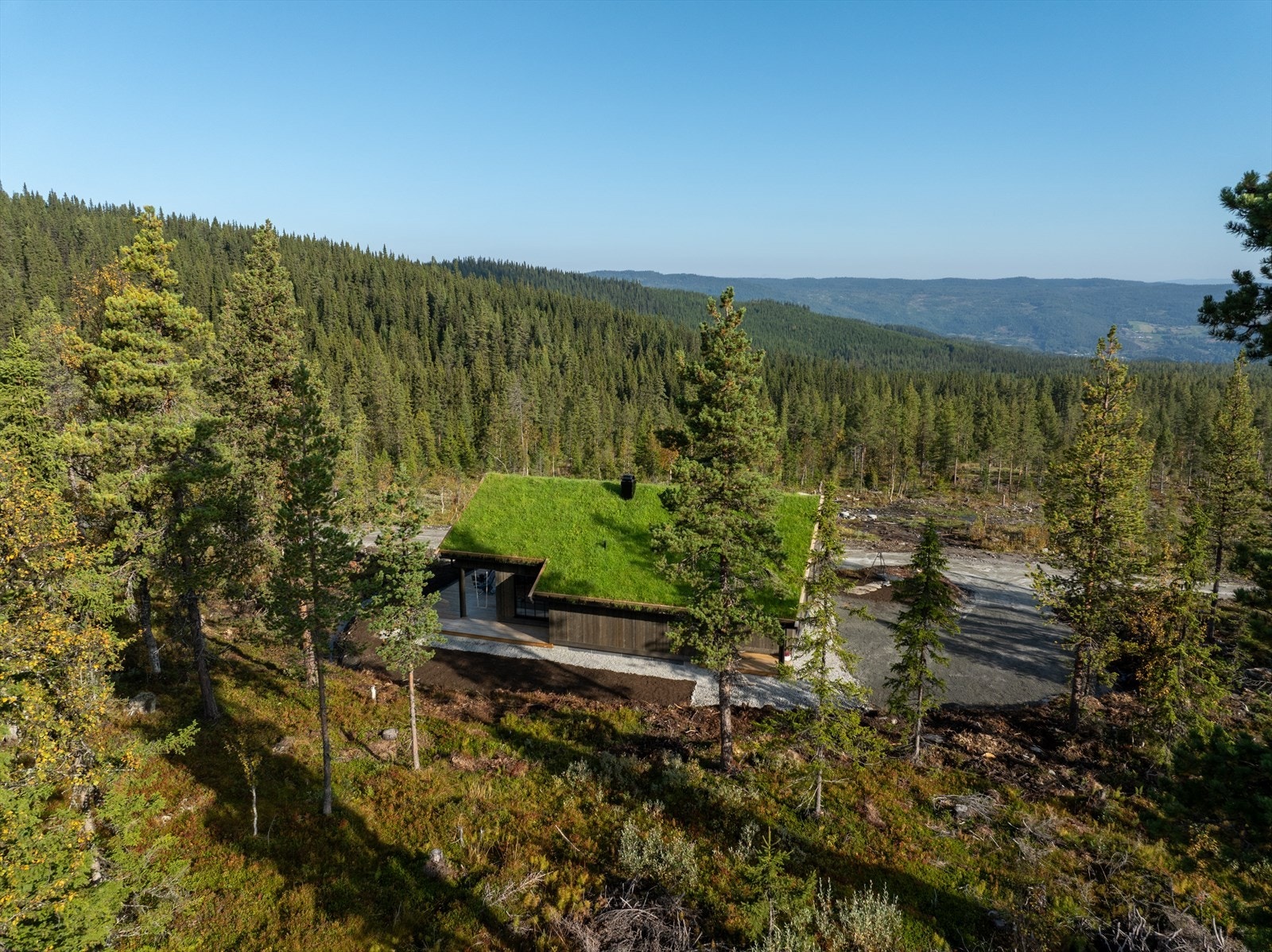Nesfjellet er en komplett hyttedestinasjon med et unikt utvalg av aktiviteter for hele familien Galleribilde