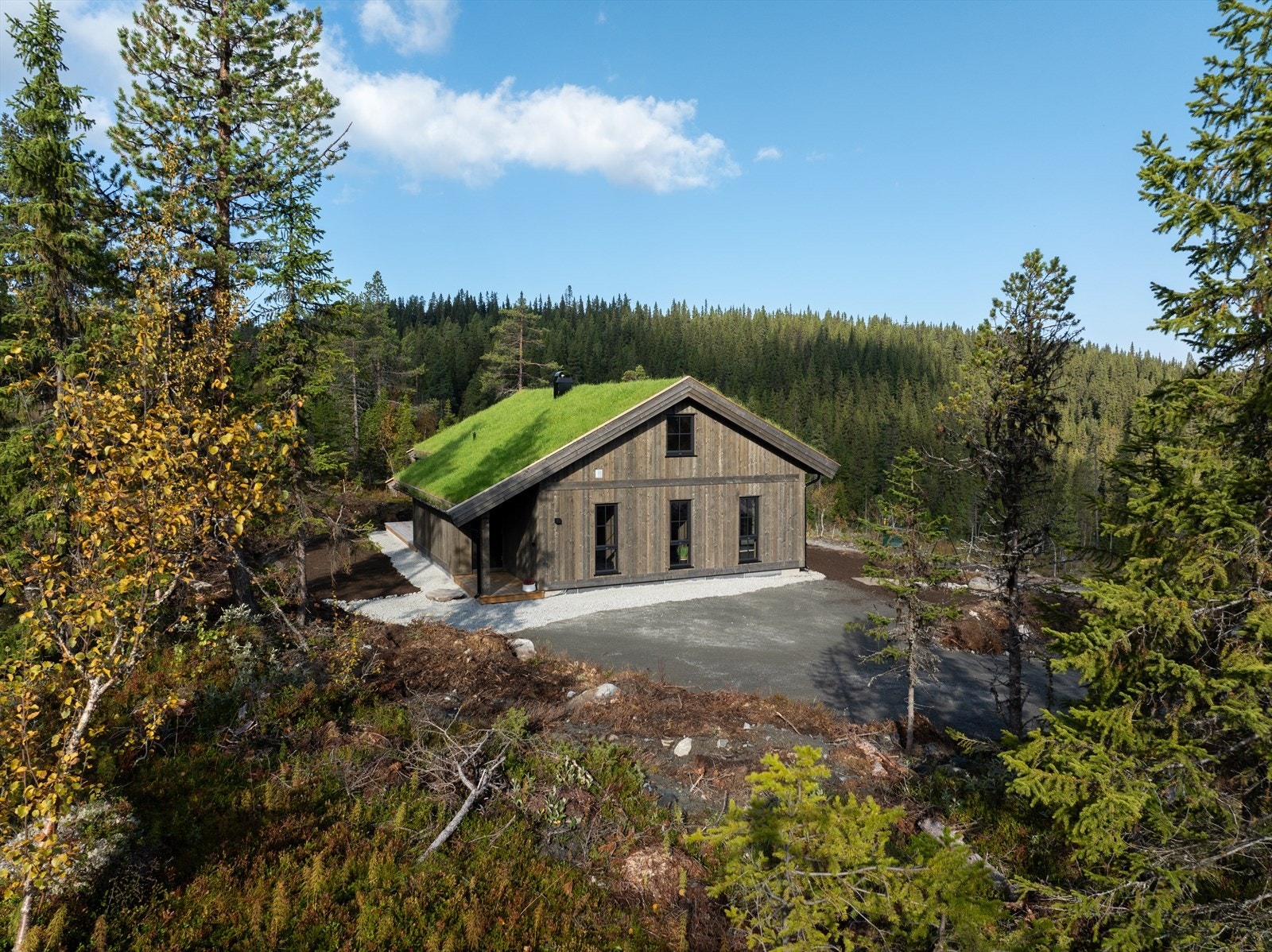 Hytta ligger i nyetablert hytteområde med fint naturlandskap, tett på skog, fjell og skiløyper. Galleribilde