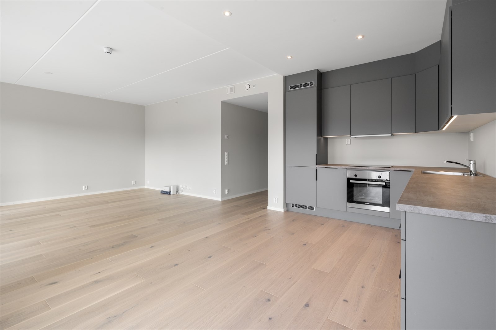 Lys og romslig stue med kjøkken i åpen løsning Galleribilde