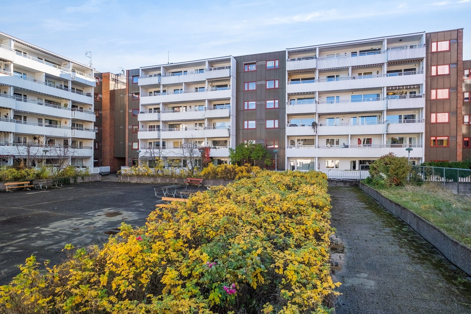 objpict_19894288603208_0.jpg Galleribilde