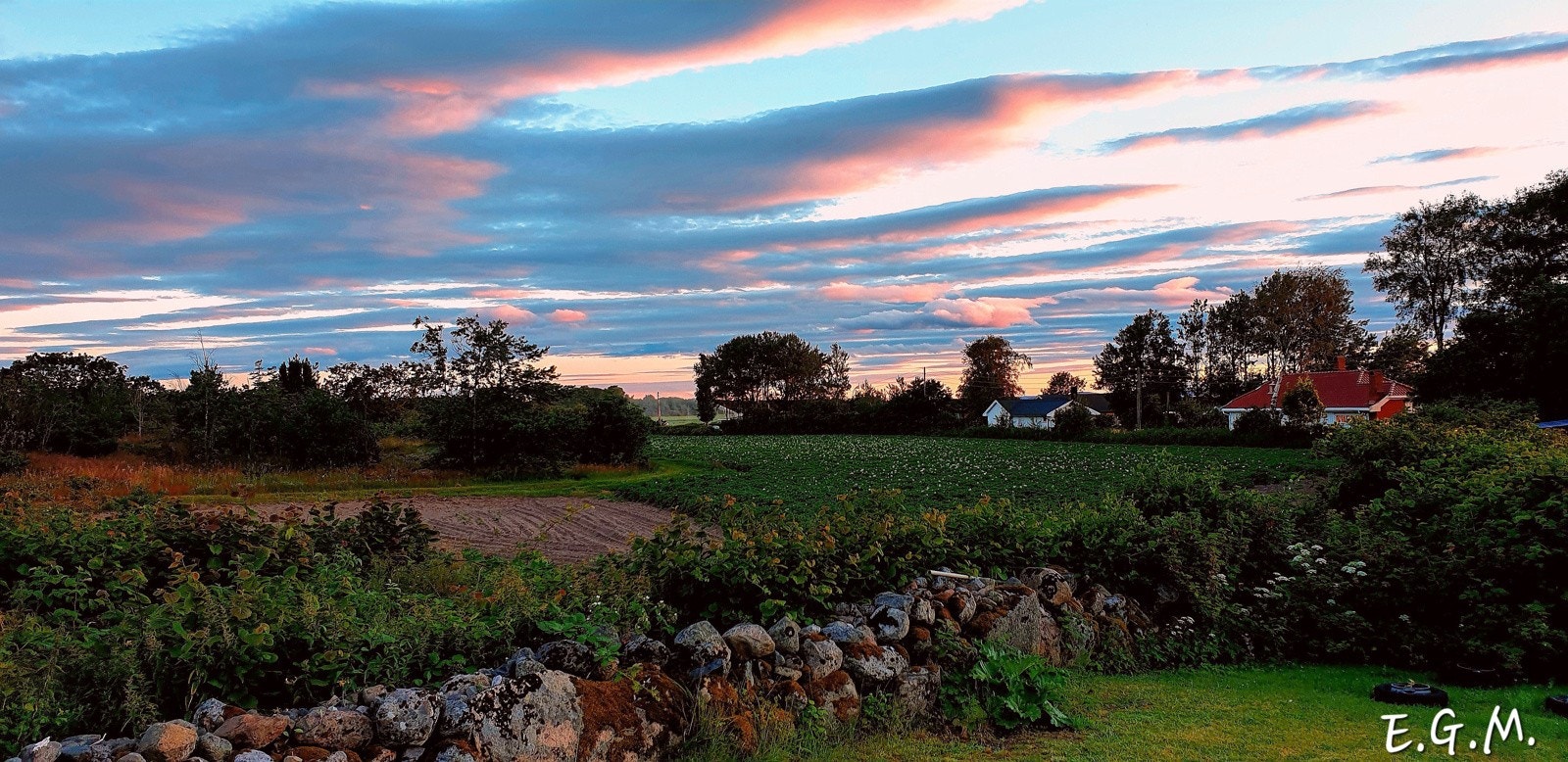 Selger bilde Galleribilde