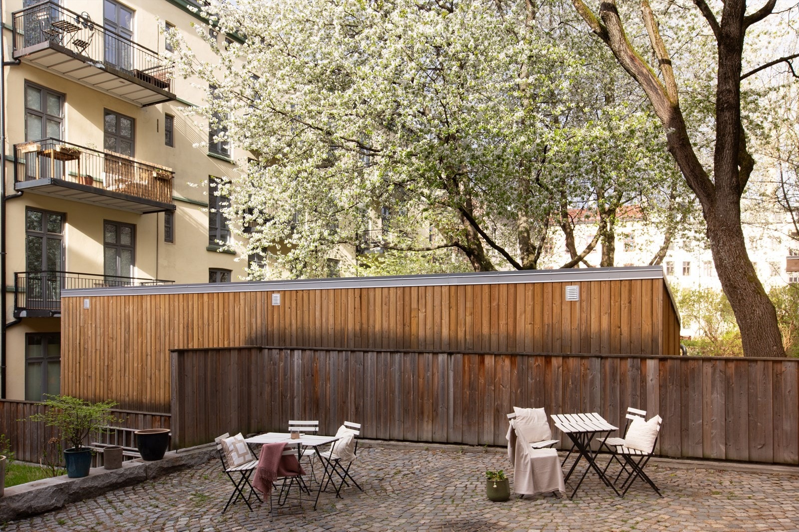 Koselig, rolig og lukket bakgård med gressplen, sitteplasser og sykkelparkering. Legg merke til det flotte treet som setter sitt preg på bakgården. Galleribilde