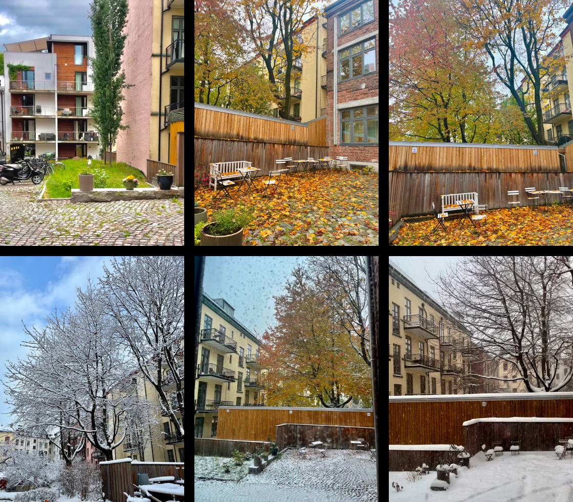 Selgers bilder av bakgården. Galleribilde