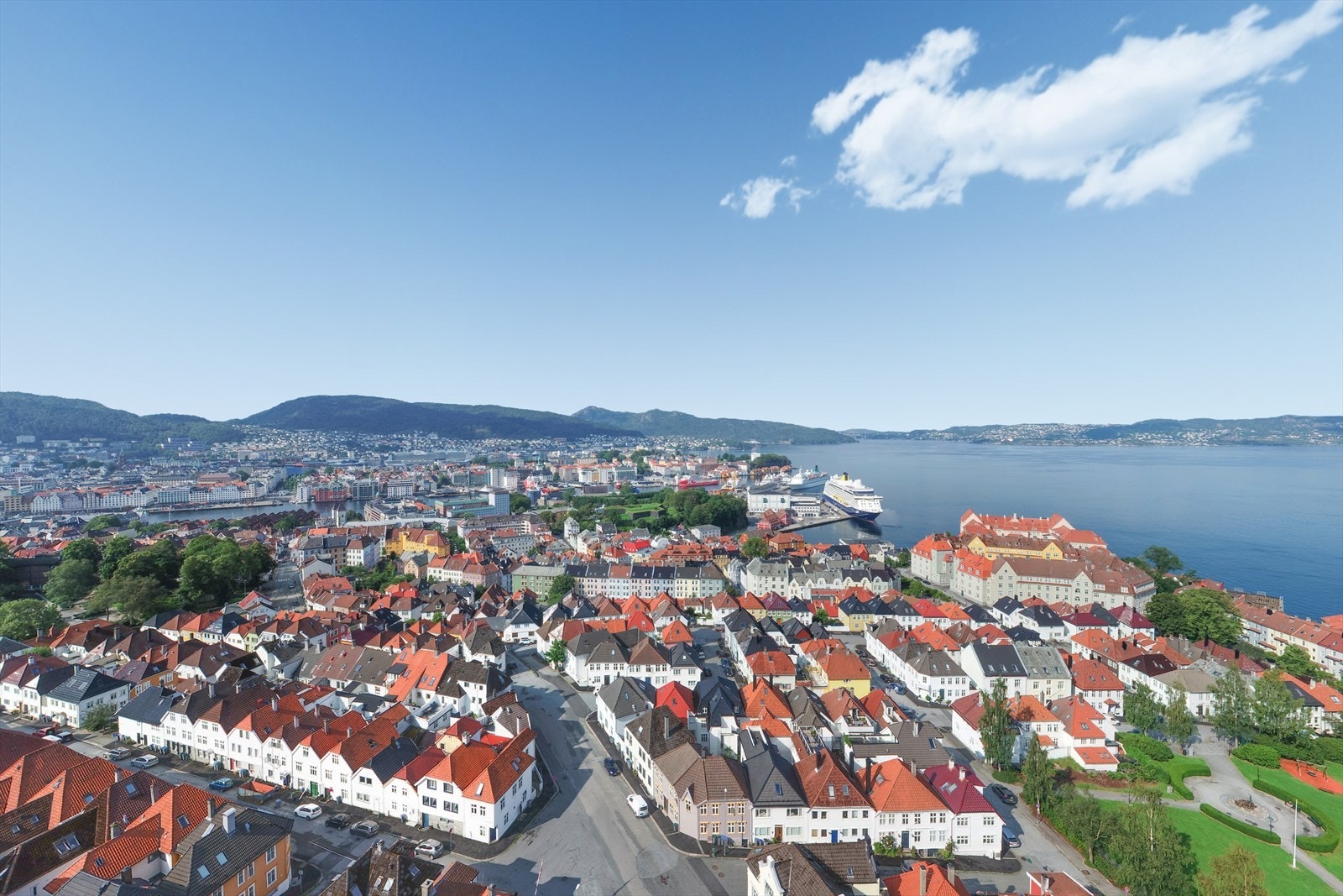 Bilde av nærområdet. Galleribilde