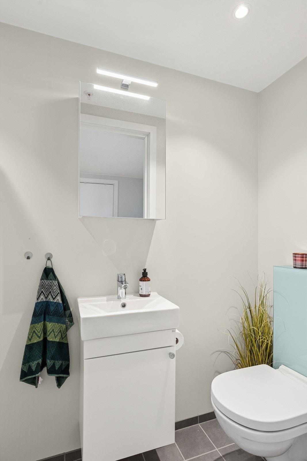 Gjestetoalett, ved entré. Klargjort for dusj her også. Galleribilde