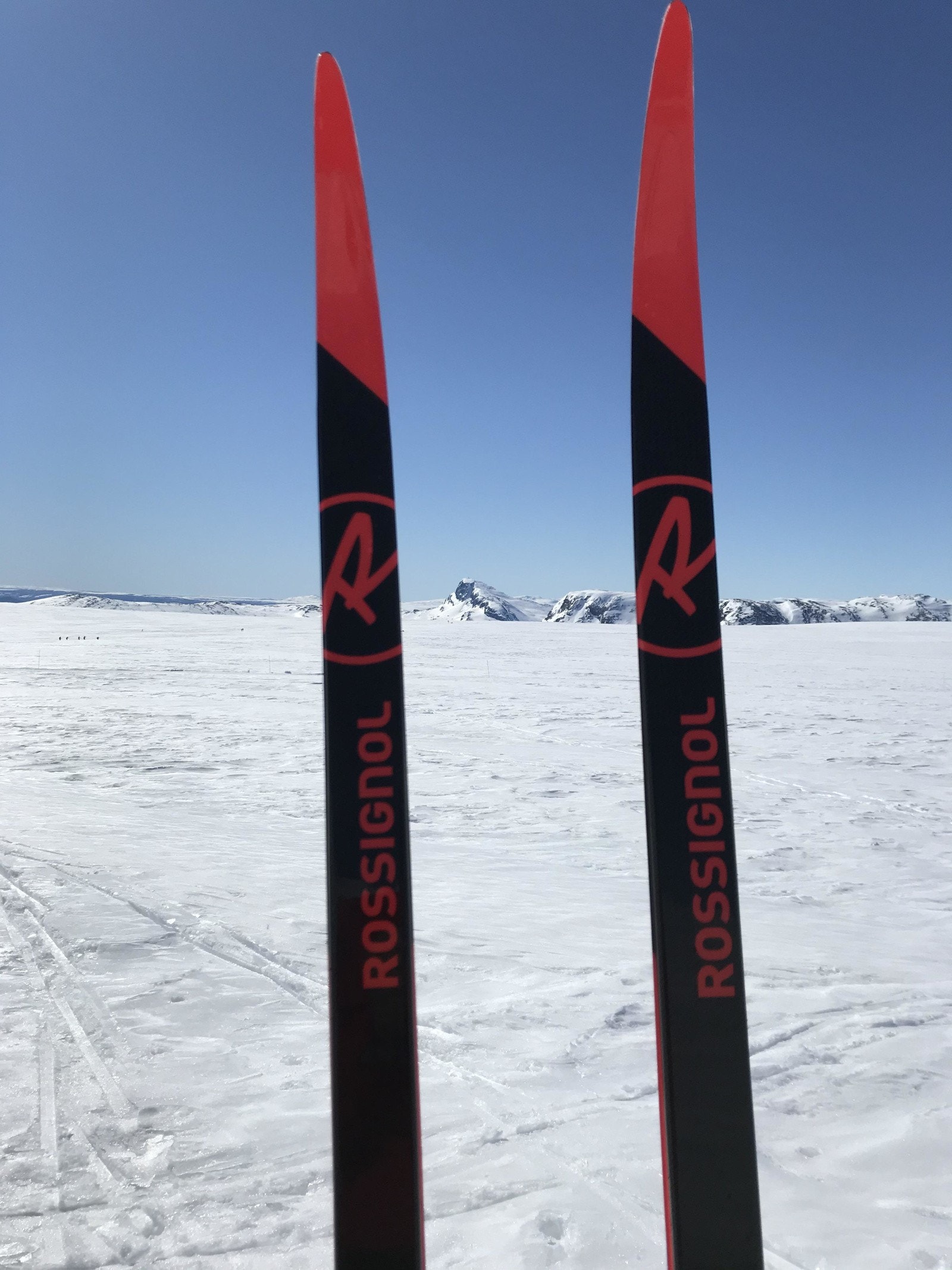 Langrenn Galleribilde