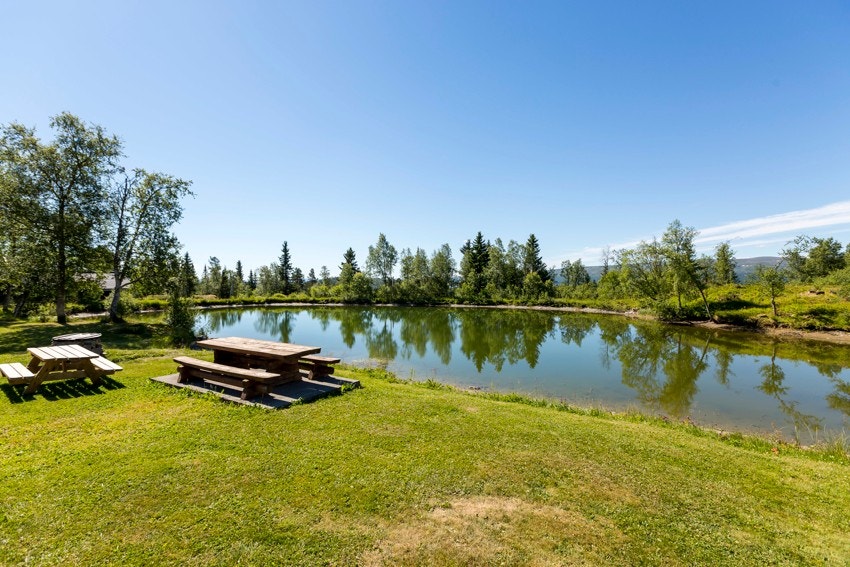 Idyllisk ved tjernet Galleribilde