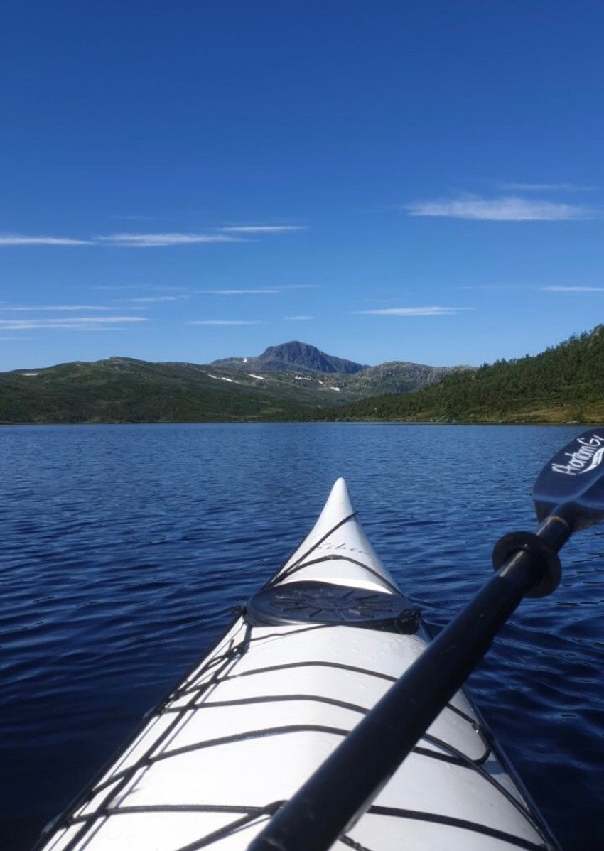 Padling Galleribilde