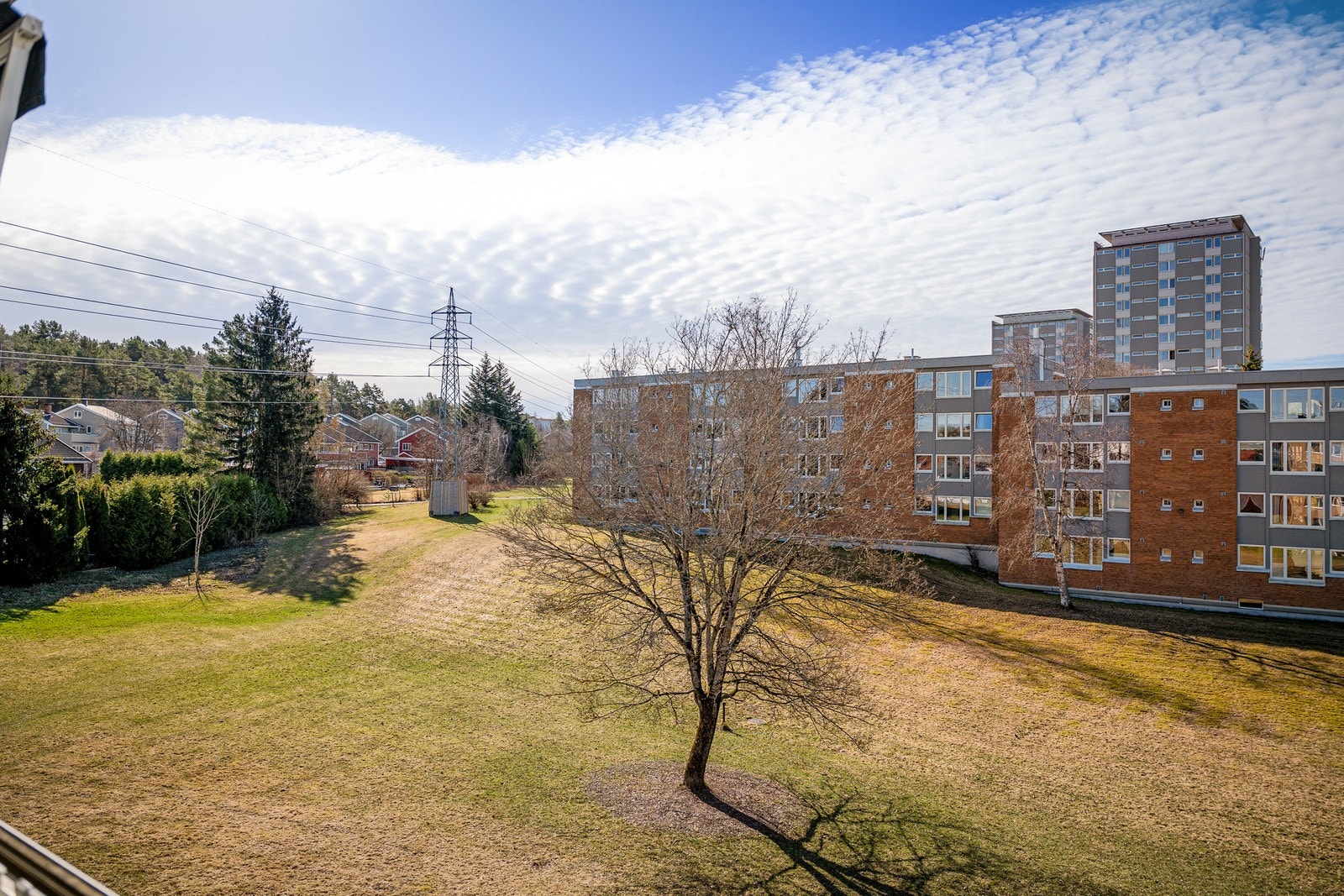 Utsikt. Galleribilde