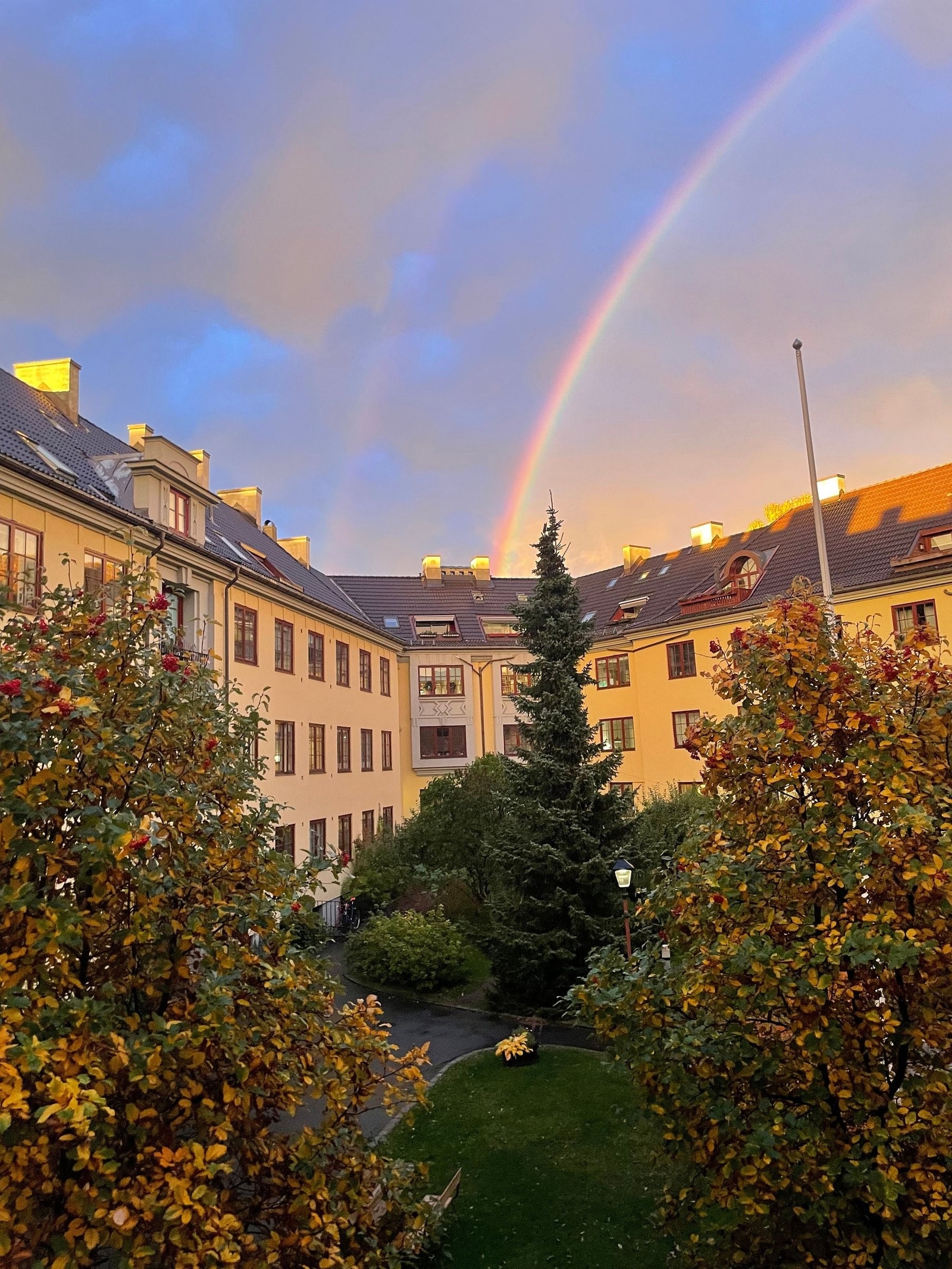 (selgers bilde) Galleribilde