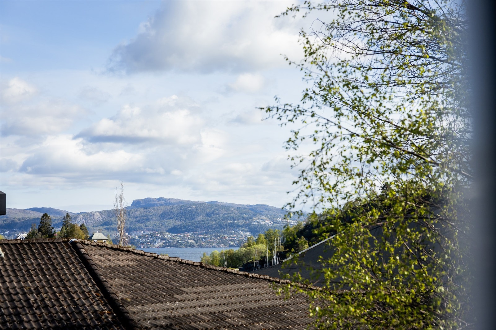 Fra leiligheten er det utsikt mot Byfjorden og Bergen. Galleribilde