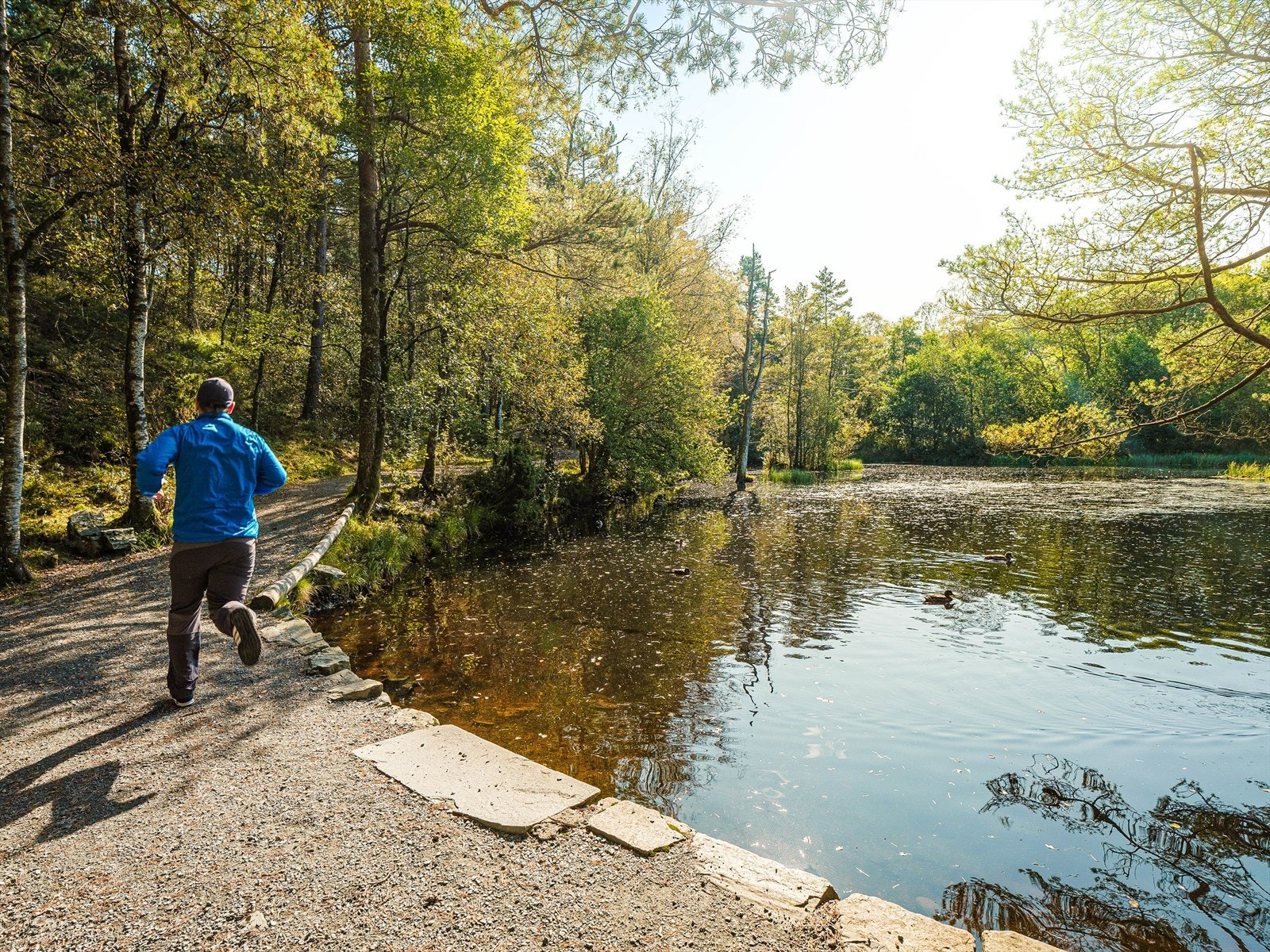 Nærområde - Vakre Siljustølskogen like ved - perfekt for trim og rekreasjon Galleribilde