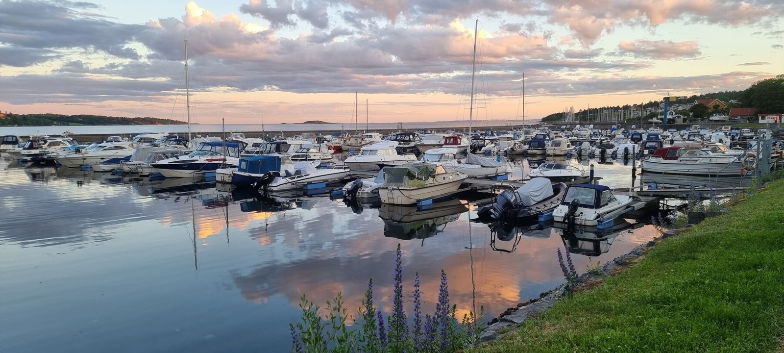 Fiske båthavn. (Privat bilde) Galleribilde