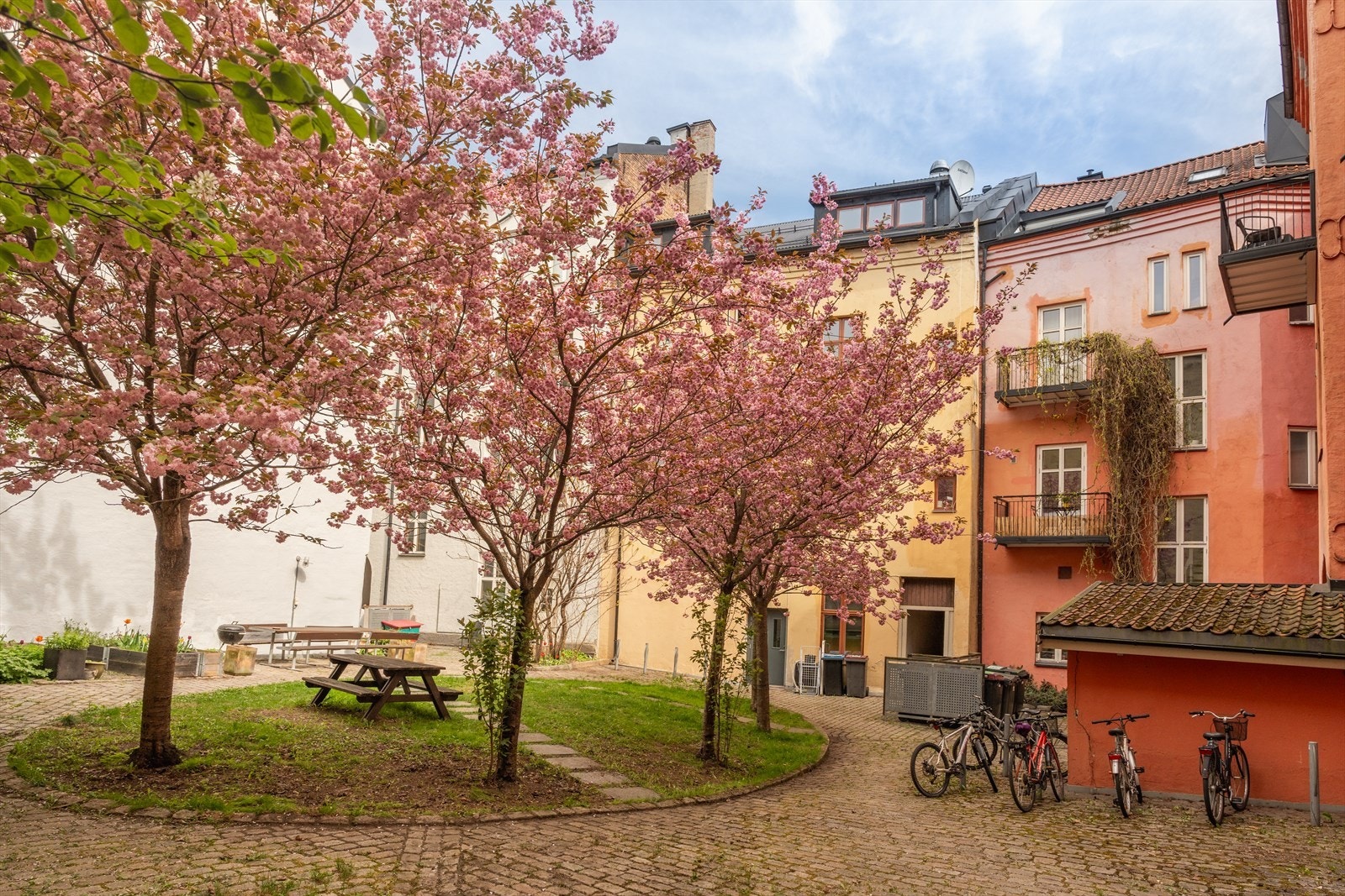 Meget hyggelig, trygg og skjermet bakgård - pent opparbeidet og beplantet Galleribilde