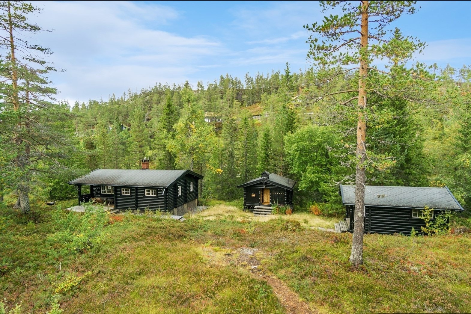 VELKOMMEN TIL MJOVASSDALEN 246 Galleribilde