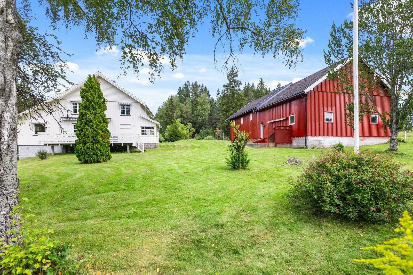 2P1A4566 Galleribilde