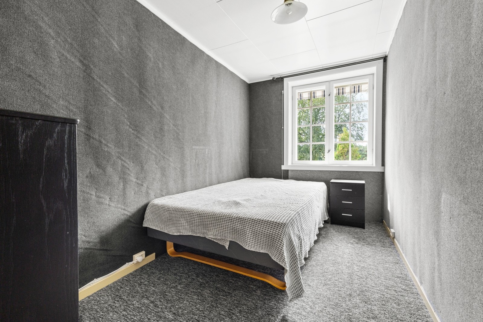 2P1A4419 Galleribilde