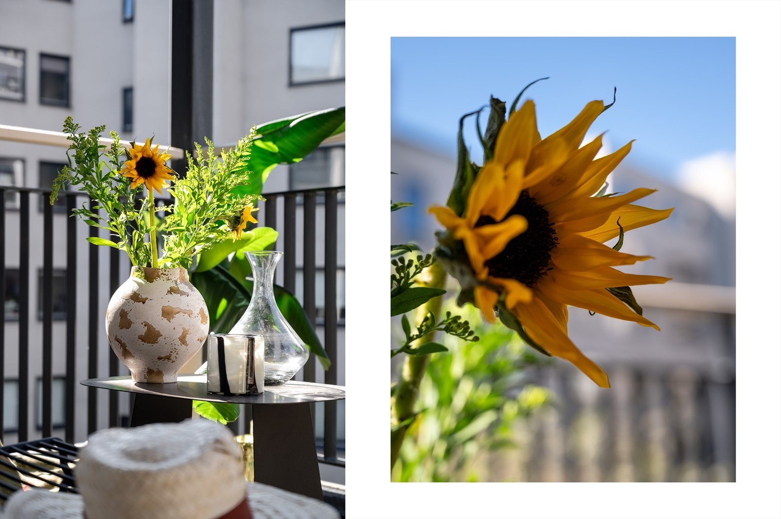 Rekkverket slipper inn rikelig med sol og lys, men skjermer likevel noe mot naboene. Galleribilde