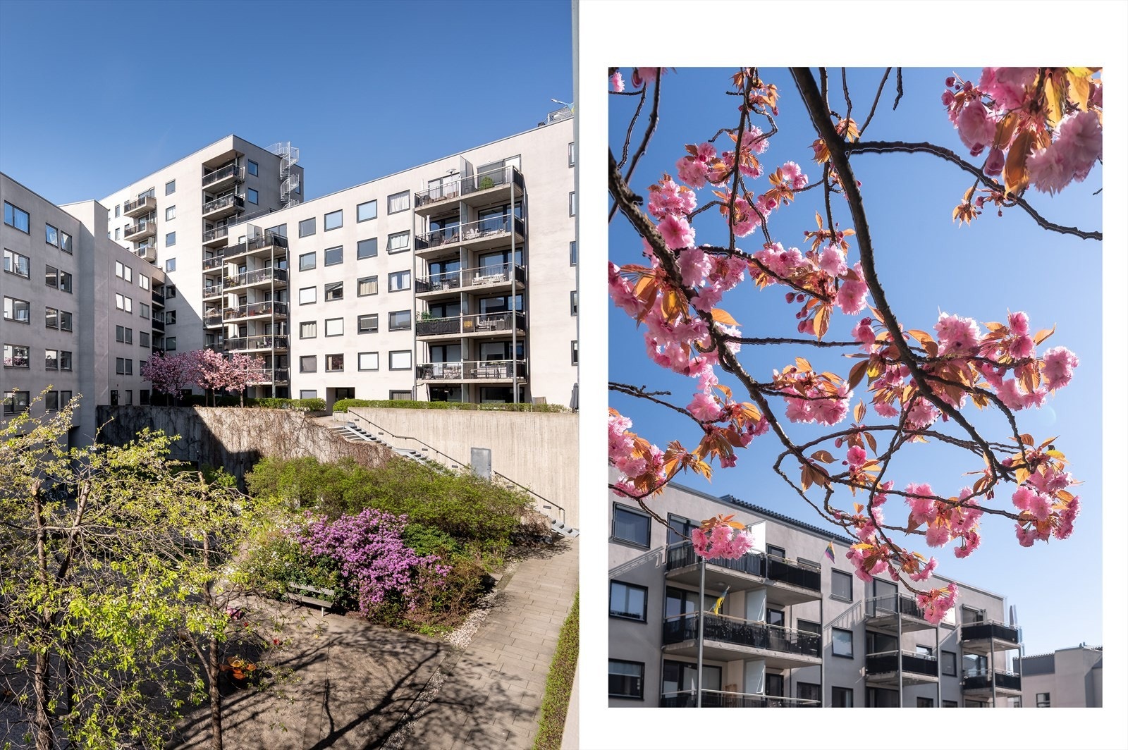 Fellesområdene er pent opparbeidet med busker, trær og interne gangveier. Galleribilde