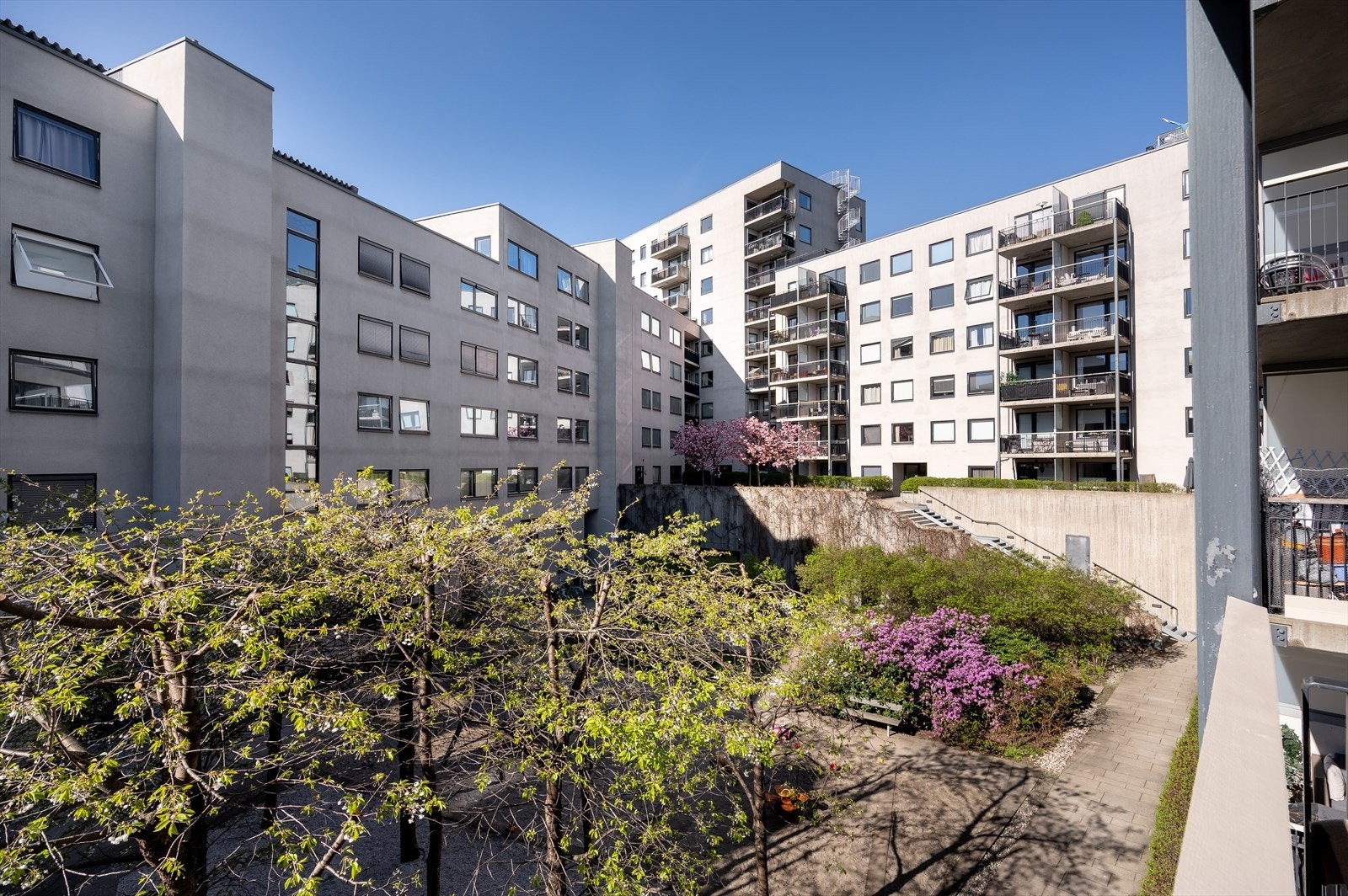 Den flotte bakgården endrer seg i takt med årstidene. Galleribilde