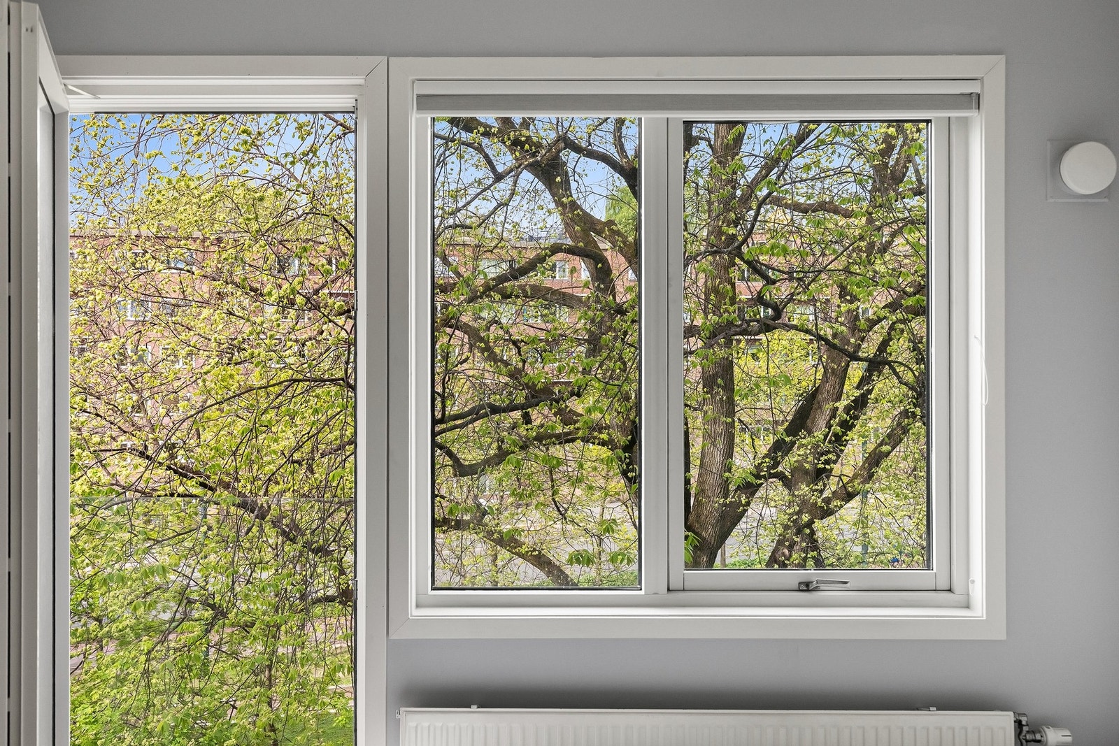 De store vindusflatene gir rikelig med naturlig lys. Galleribilde