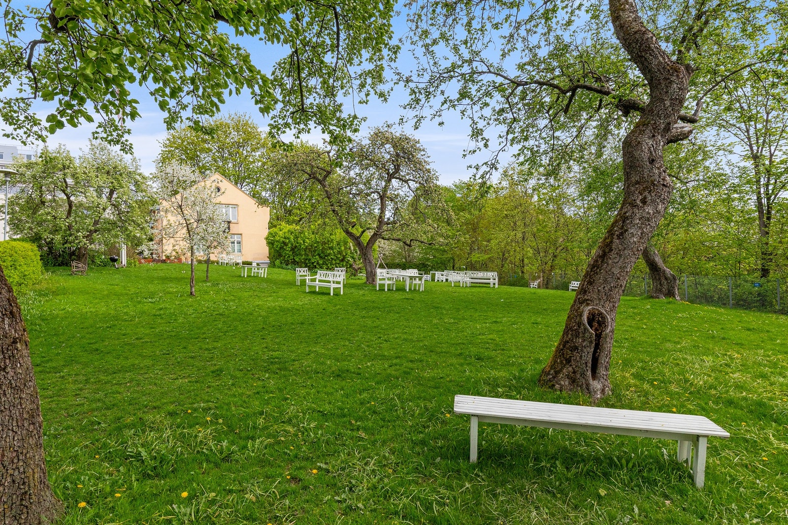 Som beboer får du tilgang til et idyllisk, grønt fellesområde, kjent som "Edens hage", perfekt for solrike dager og sosiale sammenkomster. Galleribilde