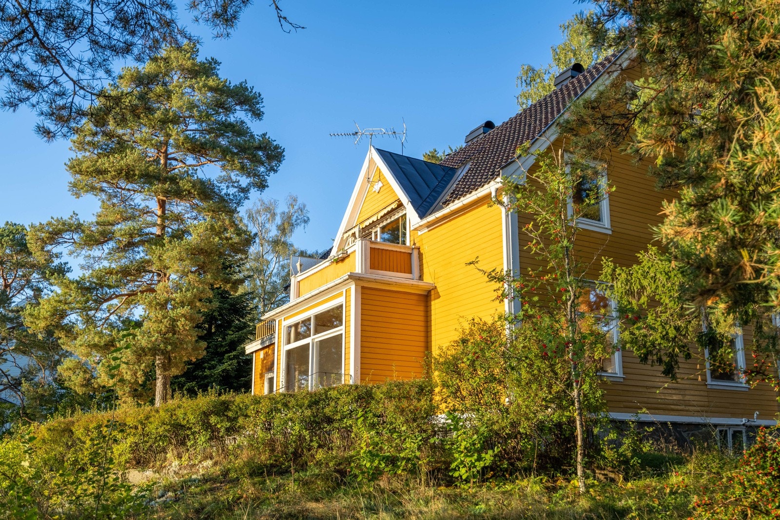 Tilbaketrukket og skjermet beliggenhet rundt rolige, frodige omgivelser. Galleribilde