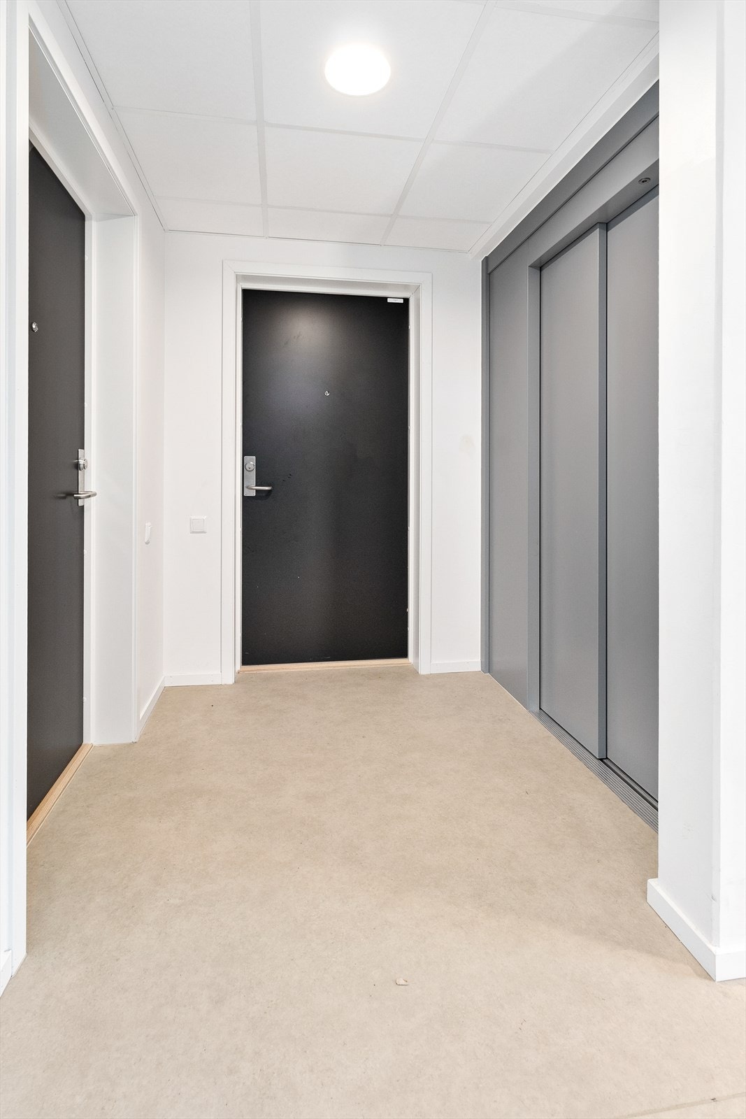 Heisadkomst Galleribilde