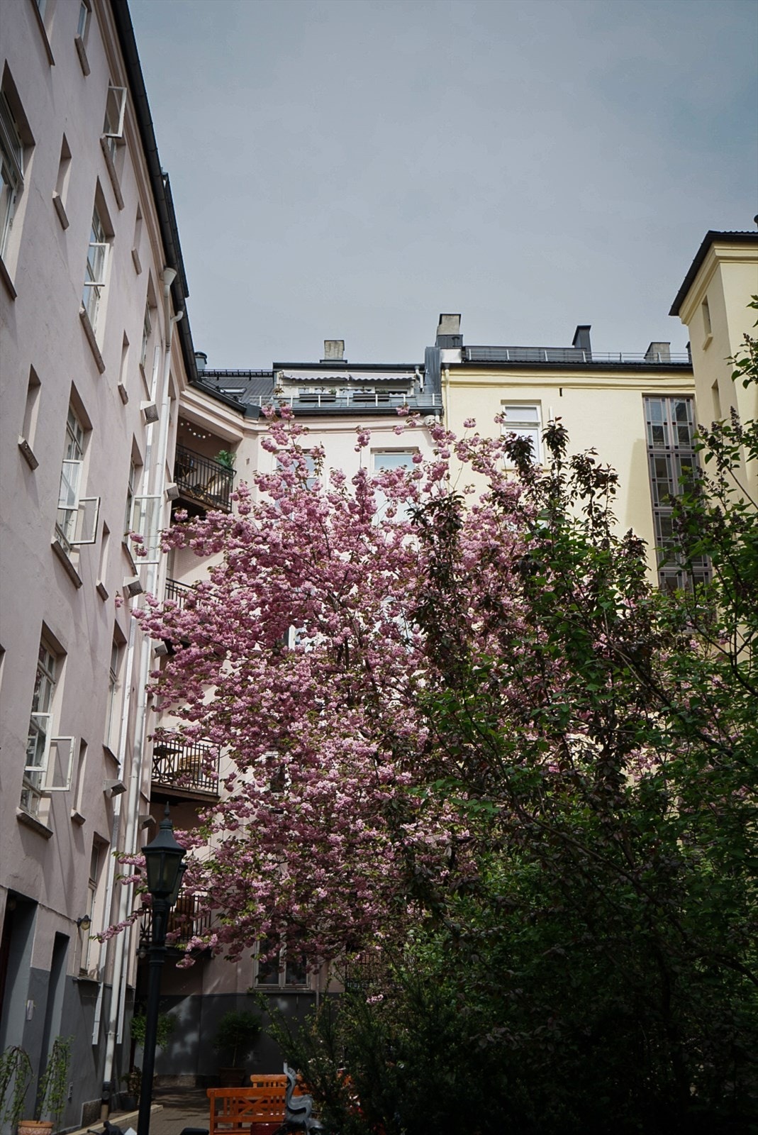 Nydelig bakgård Galleribilde