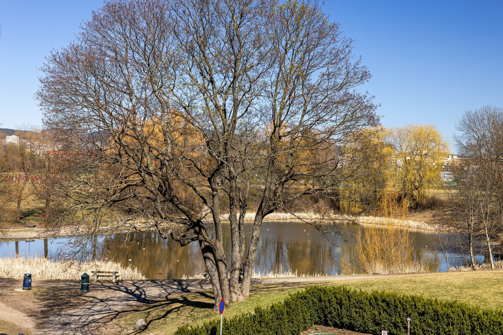 Nærområdet Galleribilde