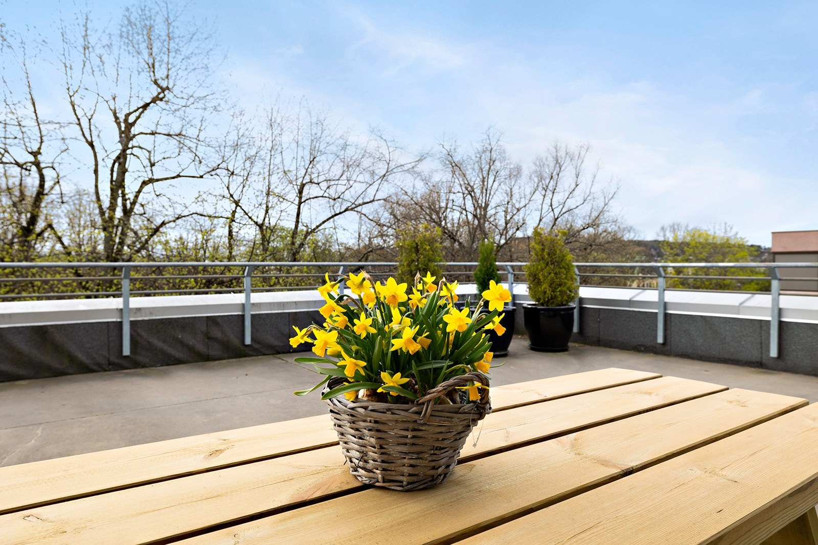 Takterrasse Galleribilde