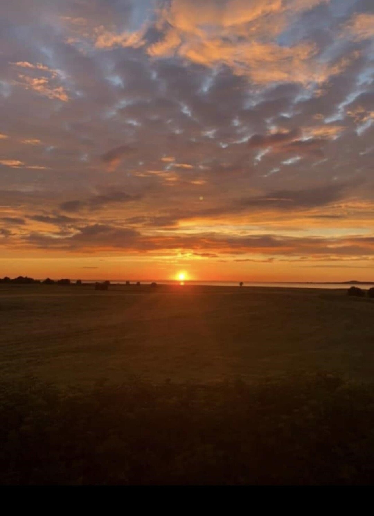 Solnedgangen Galleribilde